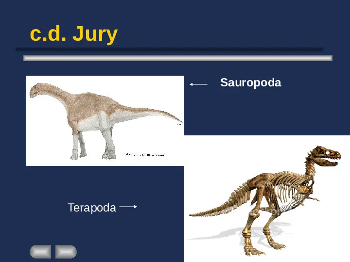 Paleontologia - Slide 41