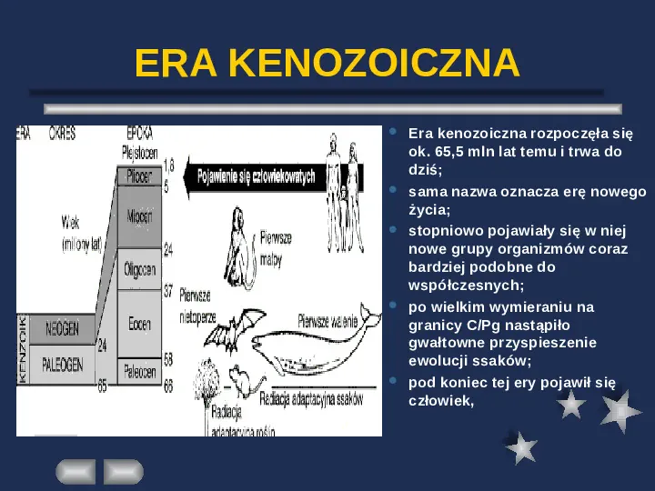 Paleontologia - Slide 48