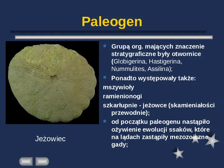 Paleontologia - Slide 49