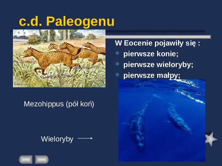 Paleontologia - Slide 50