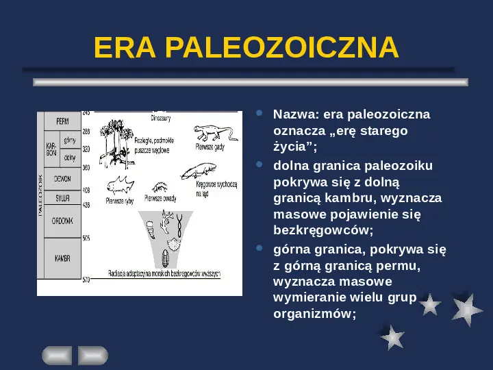 Paleontologia - Slide 6