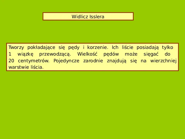 Polska czerwona ksiega gatunków zagrożonych - Slide 24
