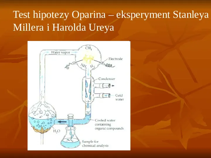 Powstanie i ewolucja życia - Slide 11