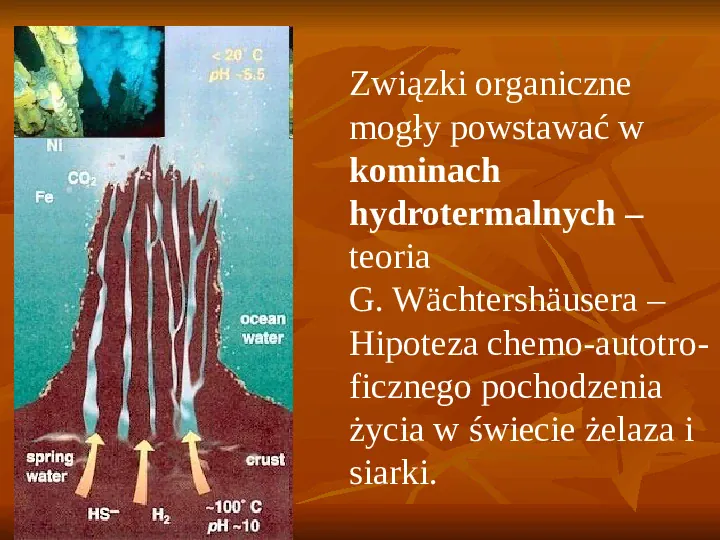 Powstanie i ewolucja życia - Slide 13