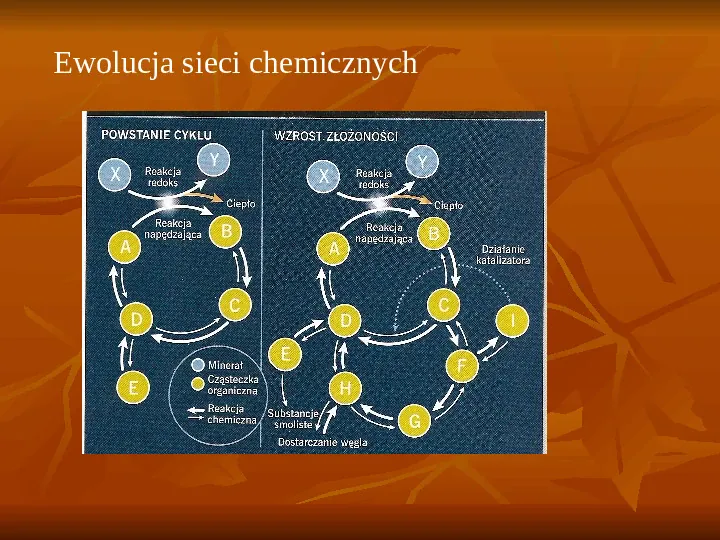 Powstanie i ewolucja życia - Slide 18