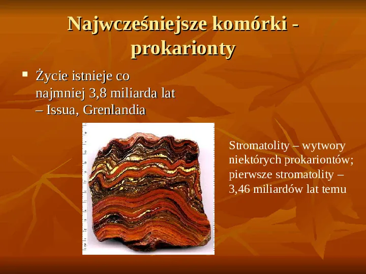 Powstanie i ewolucja życia - Slide 22