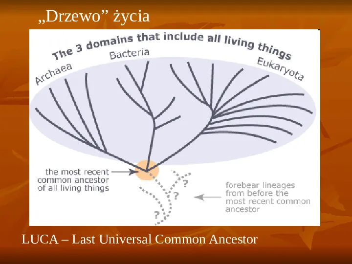 Powstanie i ewolucja życia - Slide 29