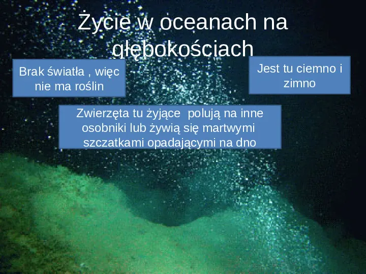 Poznaj życie w oceanach - Slide 20