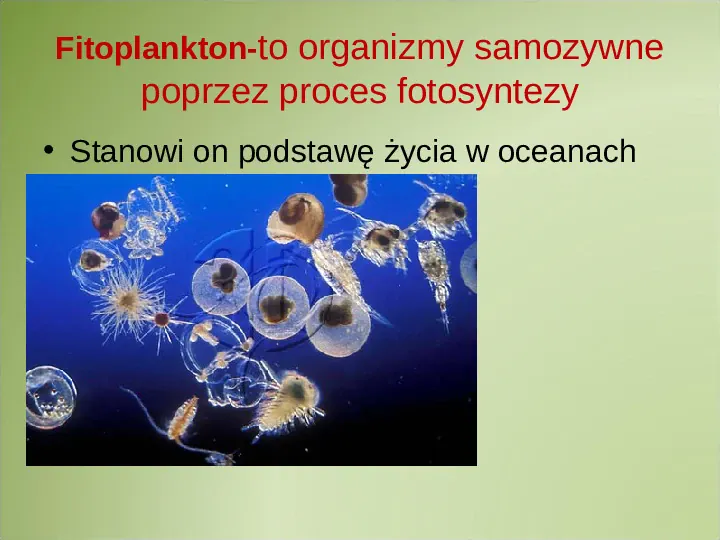 Poznaj życie w oceanach - Slide 6