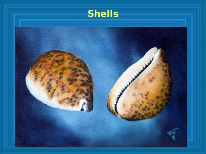Poznajemy mięczaki - świat ślimaków - Slide 63