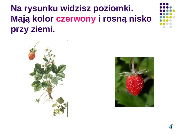 Poznajemy owoce - Slide 10