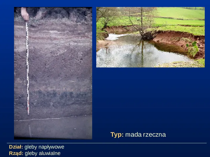 Przegląd typów gleb - Slide 13