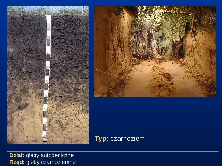Przegląd typów gleb - Slide 4