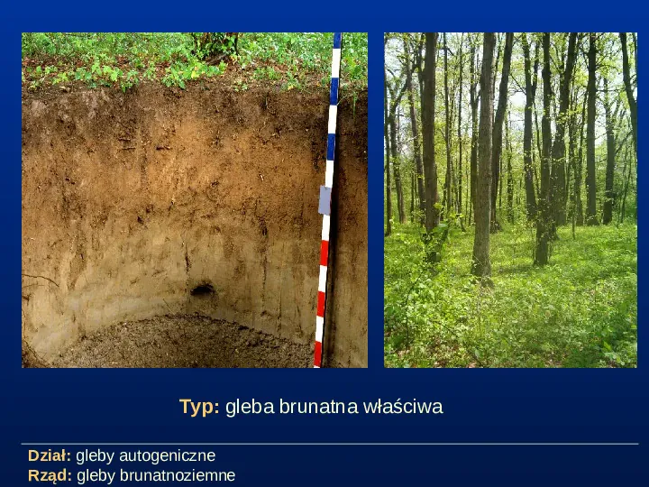 Przegląd typów gleb - Slide 5