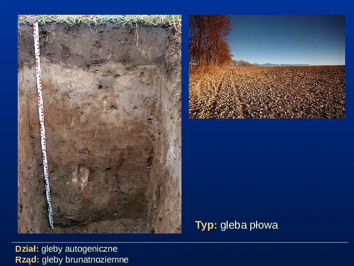 Przegląd typów gleb - Slide 6
