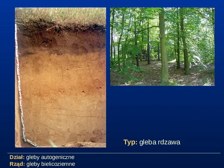 Przegląd typów gleb - Slide 7