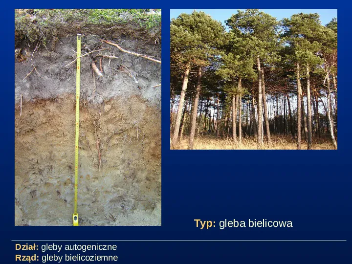 Przegląd typów gleb - Slide 8