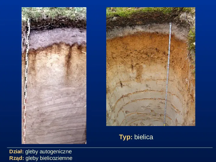 Przegląd typów gleb - Slide 9
