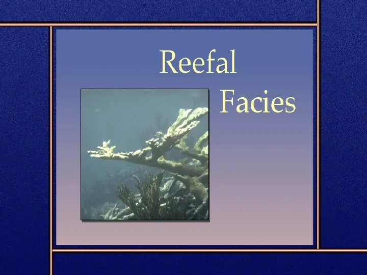 Reefal facies - Slide 1