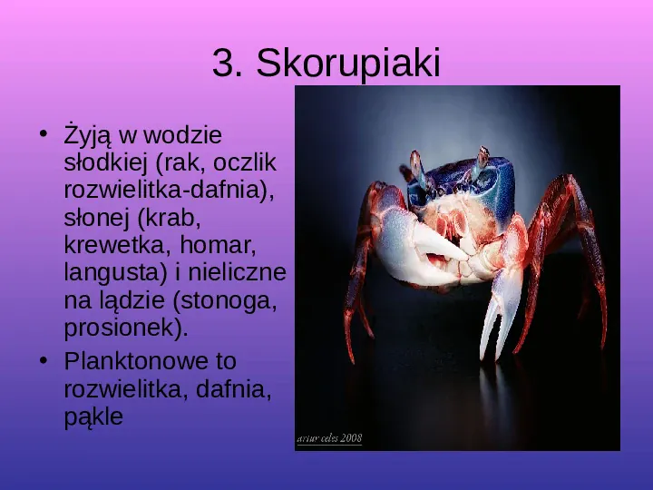 Skorupiaki i pajęczaki - Slide 8