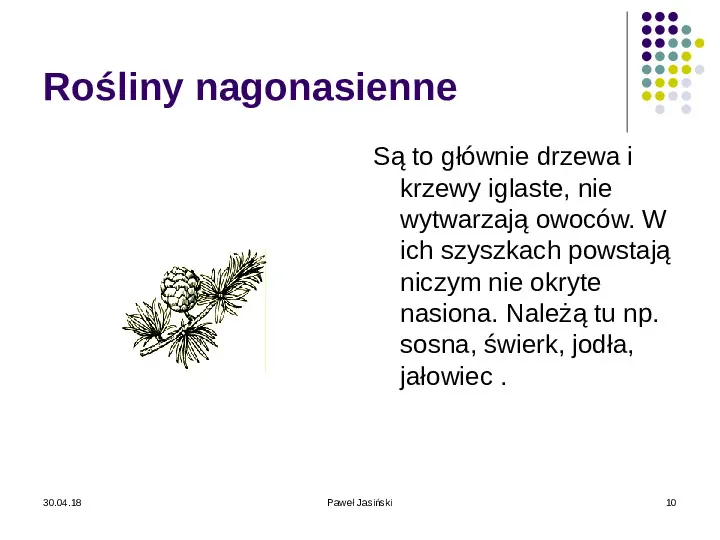 Systematyka organizmów żywych - Slide 10