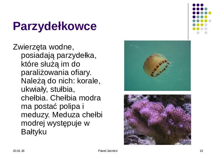 Systematyka organizmów żywych - Slide 13