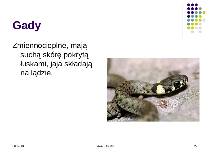 Systematyka organizmów żywych - Slide 22