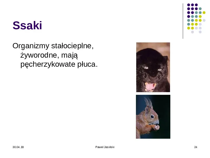 Systematyka organizmów żywych - Slide 24