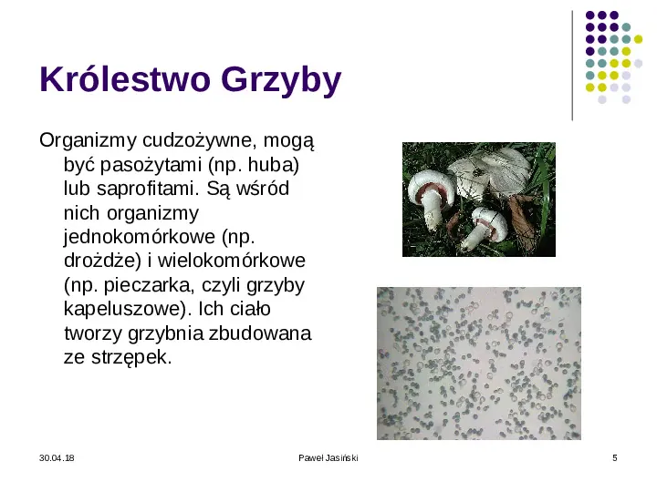 Systematyka organizmów żywych - Slide 5