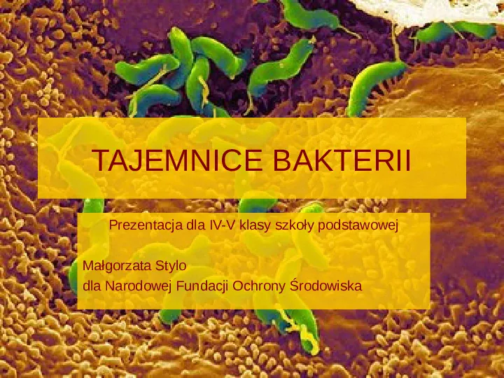 Tajemnice bakterii - Slide 1