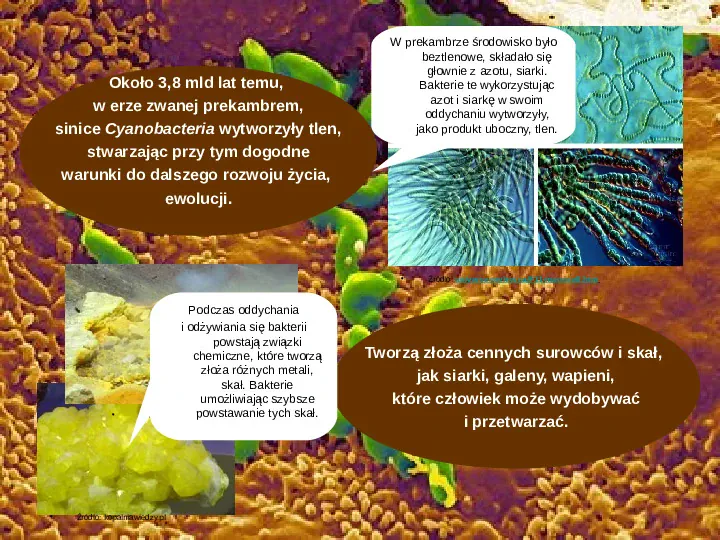 Tajemnice bakterii - Slide 10