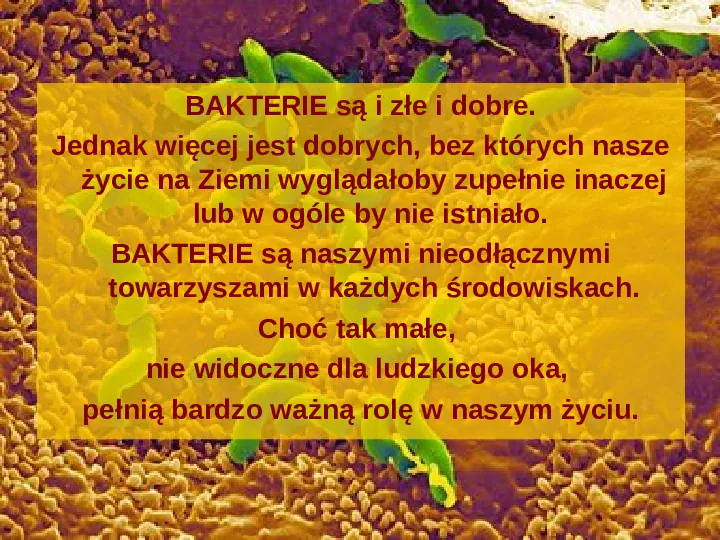 Tajemnice bakterii - Slide 16