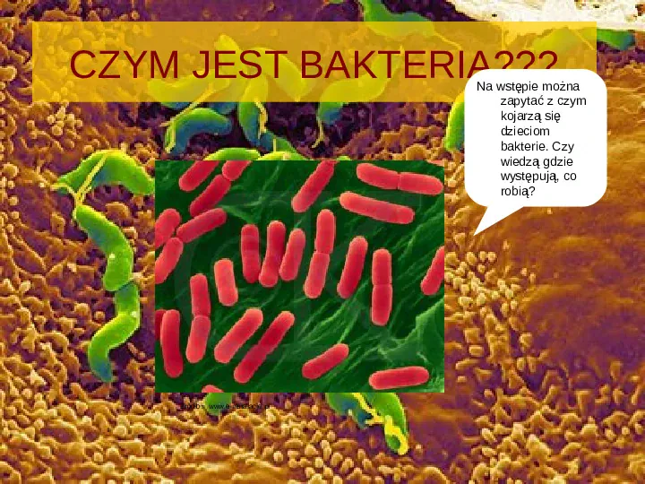 Tajemnice bakterii - Slide 2