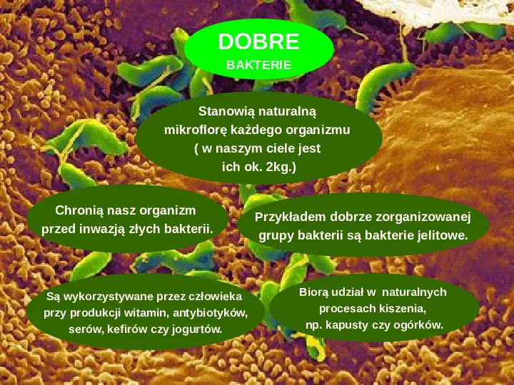 Tajemnice bakterii - Slide 8
