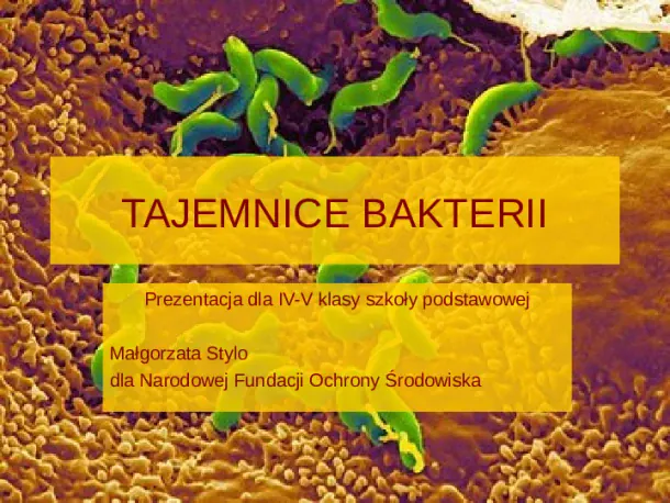 Tajemnice bakterii - Slide pierwszy