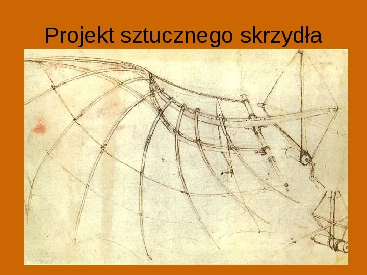 Leonardo Da Vinci - Slide 24