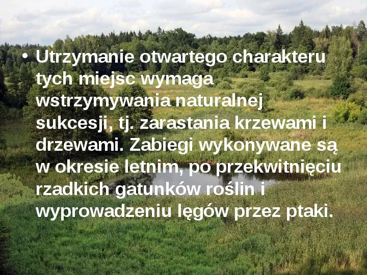 Białowieski Park Narodowy - Slide 14