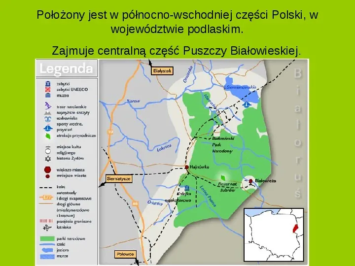 Białowieski Park Narodowy - Slide 2