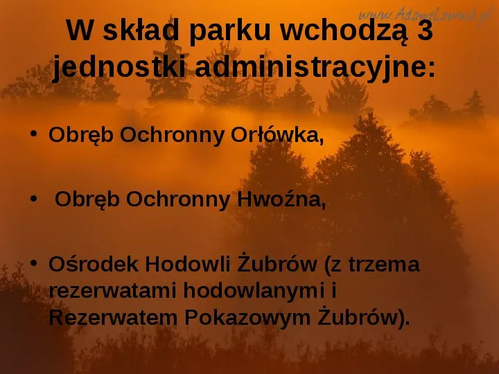 Białowieski Park Narodowy - Slide 5