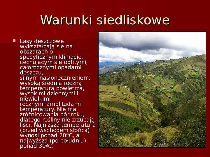 Wilgotny las równikowy - Slide 10