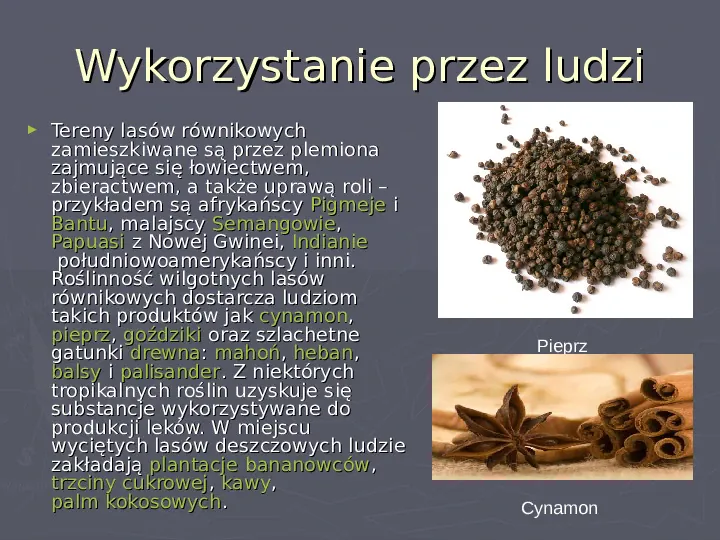 Wilgotny las równikowy - Slide 8