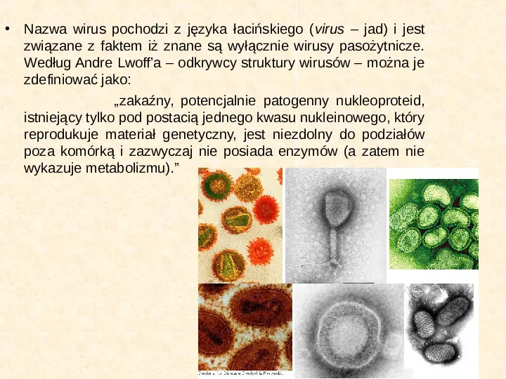 Wirusy - Slide 4