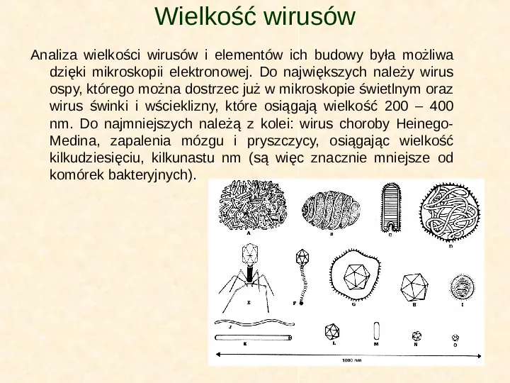 Wirusy - Slide 5
