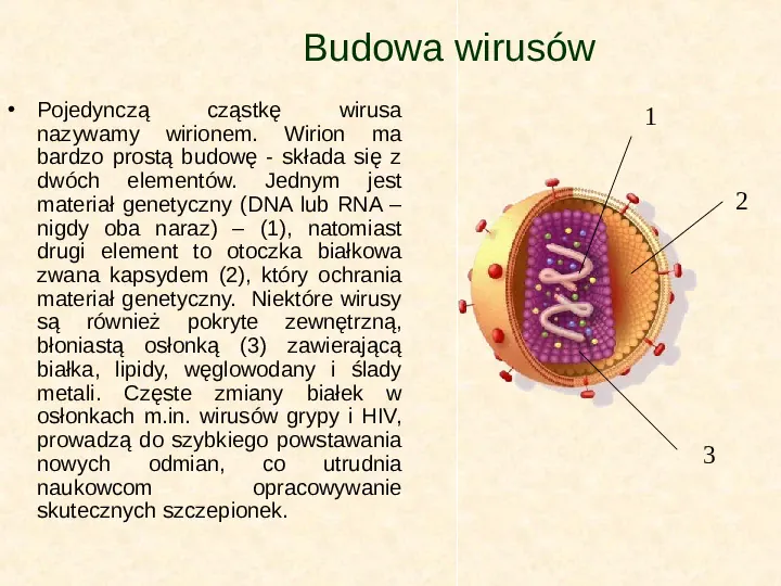 Wirusy - Slide 6