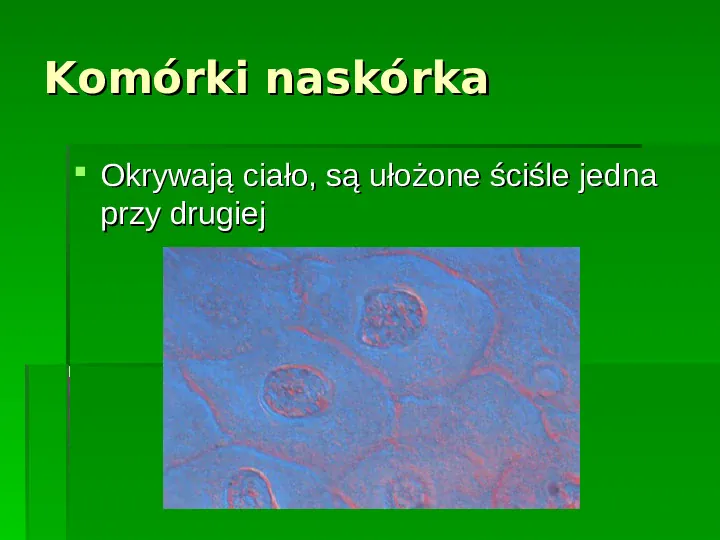 Wszystkie organizmy zbudowane są z komórek - Slide 4