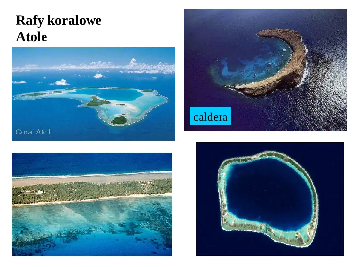 Wybrane ekosystemy morskie - Slide 24
