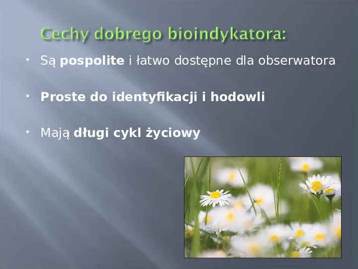 Wykorzystanie roślin w bioindykacji skażeń - Slide 10