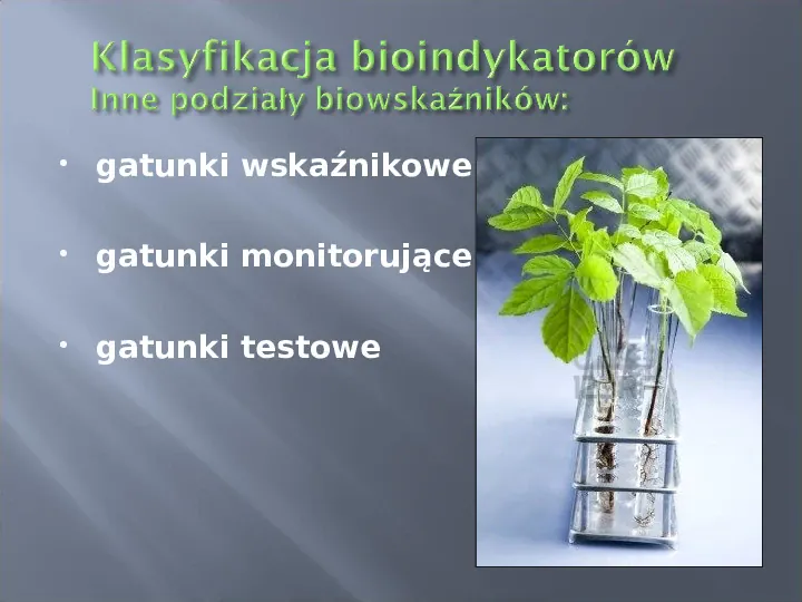 Wykorzystanie roślin w bioindykacji skażeń - Slide 14