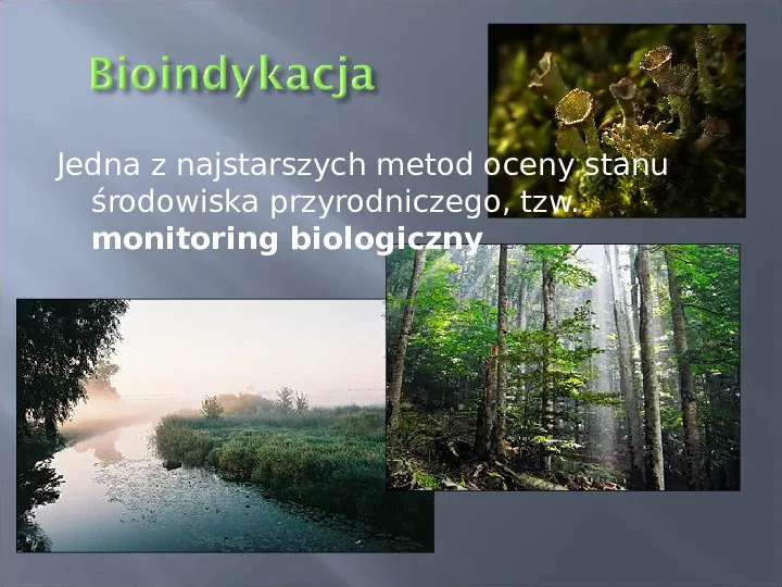 Wykorzystanie roślin w bioindykacji skażeń - Slide 3