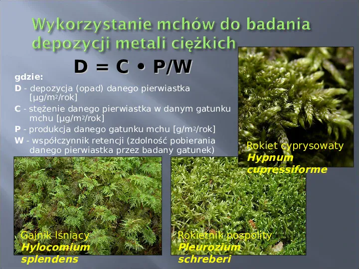 Wykorzystanie roślin w bioindykacji skażeń - Slide 40